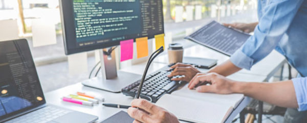 software developers